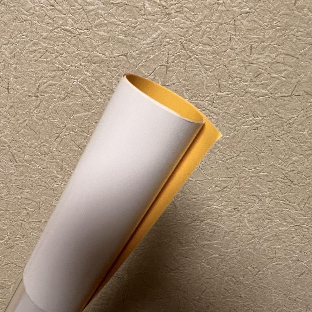 Amazon.co.jp: ぼっちざろっく！×TOWER RECORDS 早期予約特典 コラボ